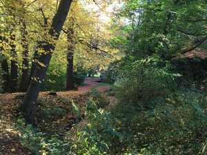 Stadtpark Gozha